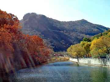 平板电脑怎么选,平板电脑怎么选配置